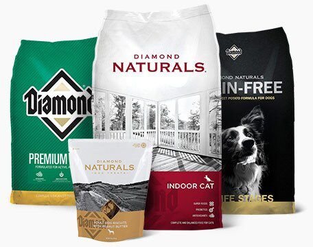 Diamond lite dog food best sale