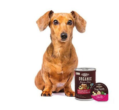 Organix grain free dog food hotsell