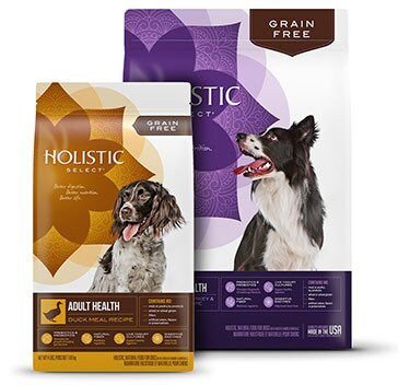 HOLISTIC SELECT Adult Health Anchovy, Sardine &amp; Salmon Meals Recipe Dry ...