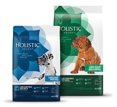 HOLISTIC SELECT Large & Giant Breed Puppy Health Lamb Meal & Oatmeal ...