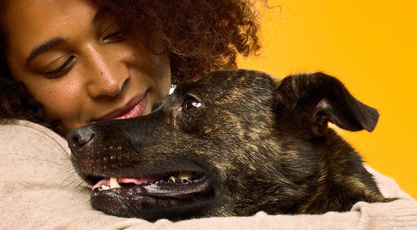 NOM NOM FreshlyMade Frozen Sampler Pack Dog Food, 14oz pouch, case of