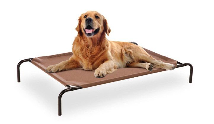 Frisco Steel-Framed Elevated Pet Bed