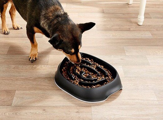 Frisco Non-Skid Slow Feeder Dog & Small Pet Bowl, Black