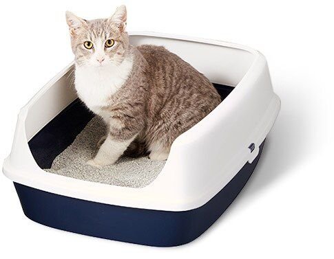 Discontinued - FRISCO Hooded Cat Litter Box, Large 20-in, Navy - Chewy.com