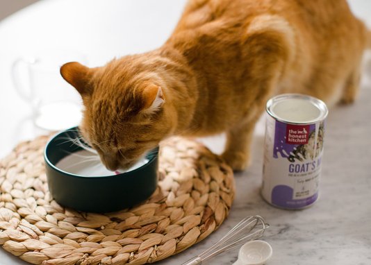 Discontinued THE HONEST KITCHEN Goat's Milk with Probiotics for