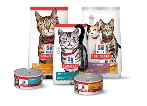 HILL S SCIENCE DIET Adult Savory Chicken Entree Canned Cat Food