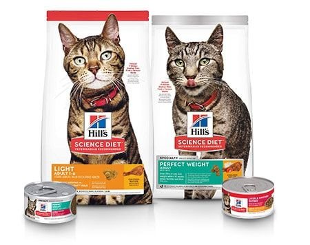 HILL S SCIENCE DIET Adult Perfect Weight Chicken Recipe Dry Cat Food 15 lb bag Chewy