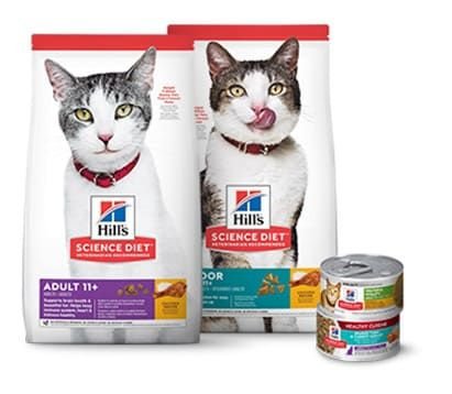 HILL S SCIENCE DIET Senior Adult 11 Chicken Recipe Dry Cat Food