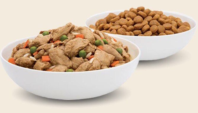 Hill's Prescription Diet t/d Dental Care Chicken Flavor Dry Dog Food