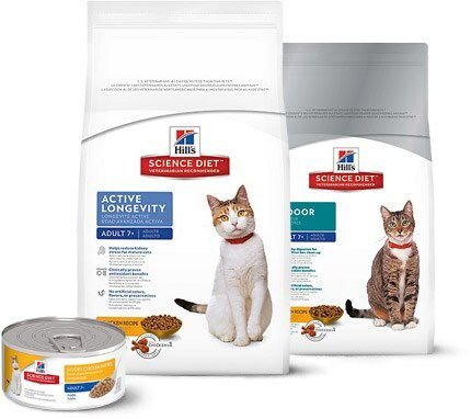 Hill's science diet active longevity cat food best sale