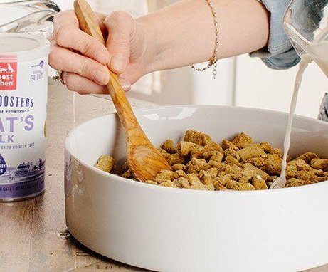 The Honest Kitchen Daily Boosters Beef Bone Broth with Turmeric for Dogs