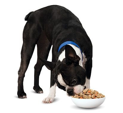 Hill's Prescription Diet w/d Multi-Benefit Digestive, Weight, Glucose, Urinary Management Vegetable & Chicken Stew Canned Dog Food