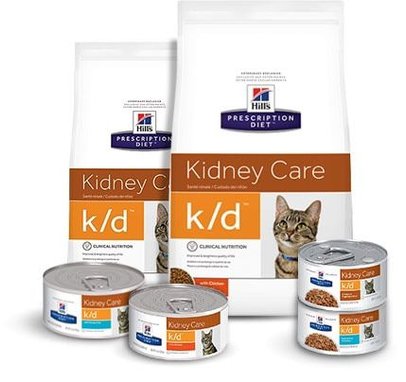 Hills kd renal cat food best sale