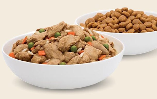 Hill's Prescription Diet w/d Multi-Benefit Digestive, Weight, Glucose, Urinary Management Vegetable & Chicken Stew Canned Dog Food