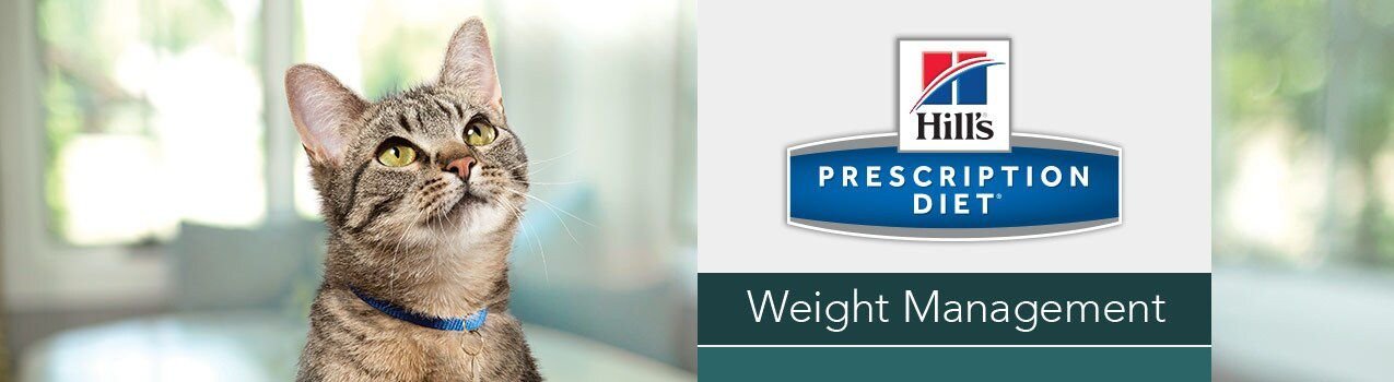 Hill's Prescription Diet w/d Multi-Benefit with Chicken Dry Cat Food