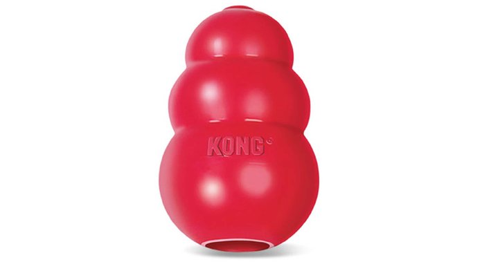 KONG Classic Dog Toy