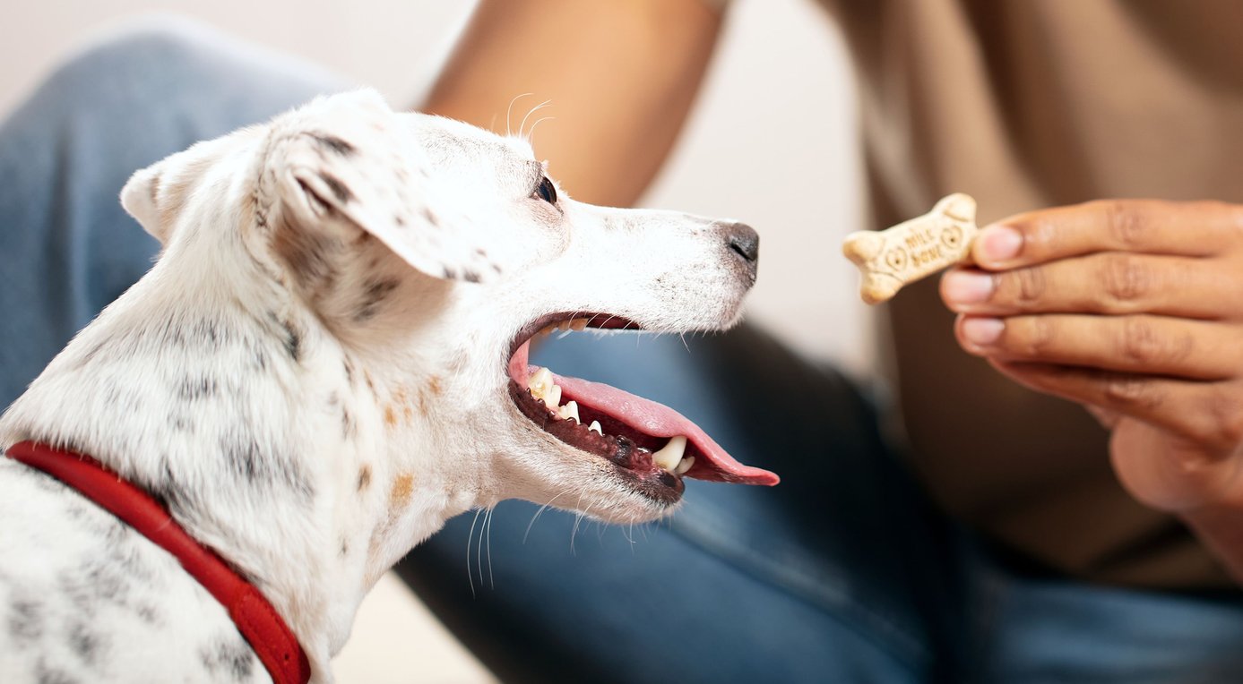 Discontinued - MILK-BONE Chock Full of Chunks Beef & Bacon Crunchy Dog ...