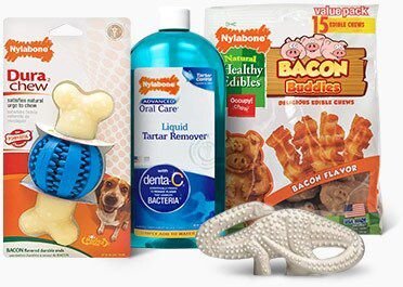 Nylabone Gourmet Style Strong Chew Wishbone Bacon Dog Toy