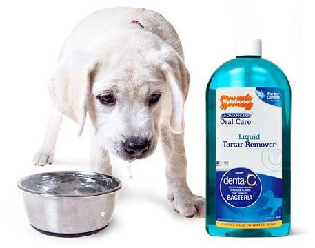 Nylabone Advanced Oral Care Natural Fresh Breath Liquid Tartar Remover