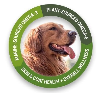 Taste of the Wild Pacific Stream Smoke-Flavored Salmon Grain-Free Dry Dog Food