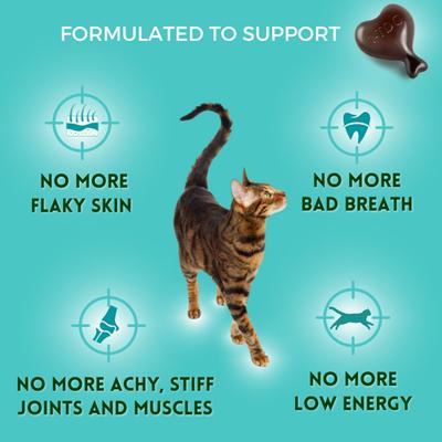 Show full view: 1-TDC Dental & Joint Health Softgel Supplement for Dogs & Cats, 120 count slide 6 of 10