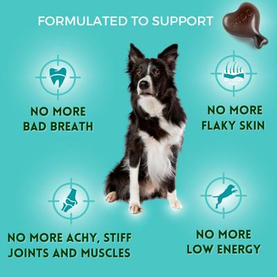 Show full view: 1-TDC Dental & Joint Health Softgel Supplement for Dogs & Cats, 120 count slide 7 of 10