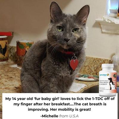 Show full view: 1-TDC Dental & Joint Health Softgel Supplement for Dogs & Cats, 30 count slide 9 of 10