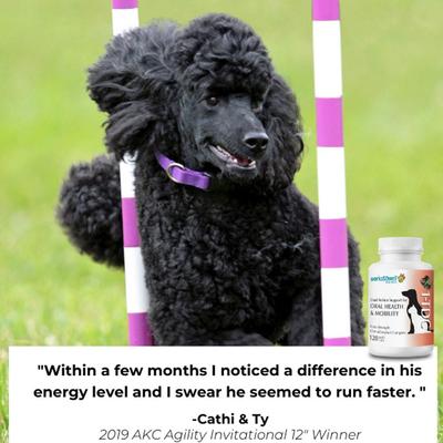 Show full view: 1-TDC Dental & Joint Health Softgel Supplement for Dogs & Cats, 60 count slide 8 of 10