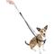 Show in main carousel: 2 Hounds Design Freedom No Pull Nylon Dog Harness & Leash, Black, Small: 18 to 24-in chest, 5/8-in wide slide 2 of 6