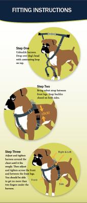 Show full view: 2 Hounds Design Freedom No Pull Nylon Dog Harness & Leash, Black, Small: 18 to 24-in chest, 5/8-in wide slide 3 of 6