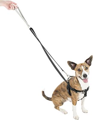 Show full view: 2 Hounds Design Freedom No Pull Nylon Dog Harness & Leash, Black, X-Small: 15 to 20-in chest, 5/8-in wide slide 3 of 7