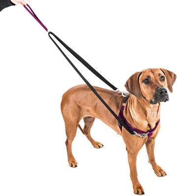 Show full view: 2 Hounds Design Freedom No Pull Nylon Dog Harness & Leash, Burgundy, Medium: 22 to 28-in chest, 1-in wide slide 2 of 6