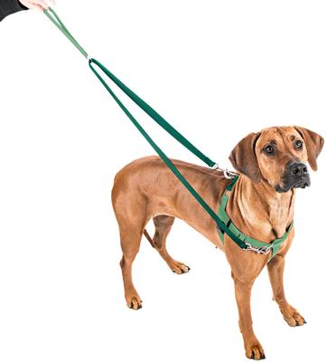 Show full view: 2 Hounds Design Freedom No Pull Nylon Dog Harness & Leash, Neon Green, Large: 28 to 32-in chest, 1-in wide slide 2 of 6