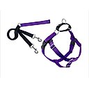 2 Hounds Design Freedom No Pull Nylon Dog Harness & Leash, Purple, Medium: 22 to 28-in chest, 5/8-in wide