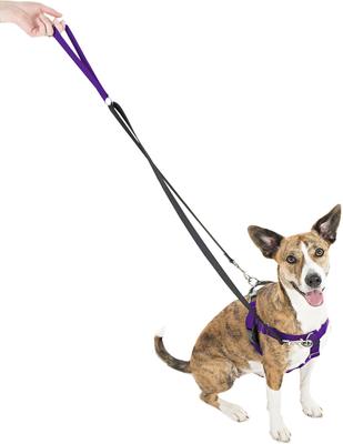 Show full view: 2 Hounds Design Freedom No Pull Nylon Dog Harness & Leash, Purple, Small: 18 to 24-in chest, 5/8-in wide slide 2 of 6