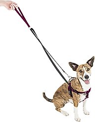 2 Hounds Design Freedom No Pull Nylon Dog Harness & Leash, Raspberry, Small: 18 to 24-in chest, 5/8-in wide slide 2 of 4
