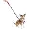 Show in main carousel: 2 Hounds Design Freedom No Pull Nylon Dog Harness & Leash, Raspberry, X-Small: 15 to 20-in chest, 5/8-in wide slide 2 of 6