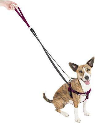Show full view: 2 Hounds Design Freedom No Pull Nylon Dog Harness & Leash, Raspberry, X-Small: 15 to 20-in chest, 5/8-in wide slide 2 of 6