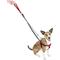 Show in main carousel: 2 Hounds Design Freedom No Pull Nylon Dog Harness & Leash, Red, X-Small: 15 to 20-in chest, 5/8-in wide slide 2 of 6