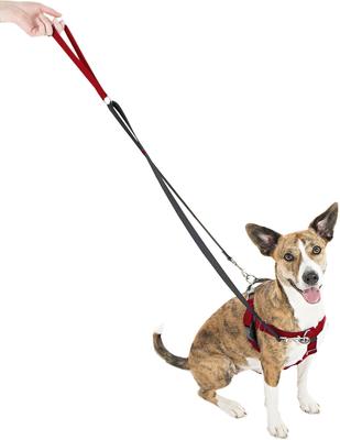 Show full view: 2 Hounds Design Freedom No Pull Nylon Dog Harness & Leash, Red, X-Small: 15 to 20-in chest, 5/8-in wide slide 2 of 6