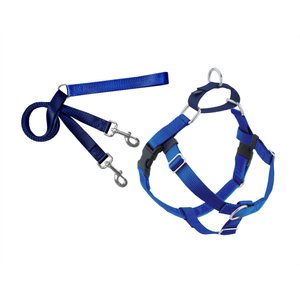 2 Hounds Design Freedom No Pull Nylon Dog Harness & Leash, Royal Blue, Large: 28 to 32-in chest, 1-in wide