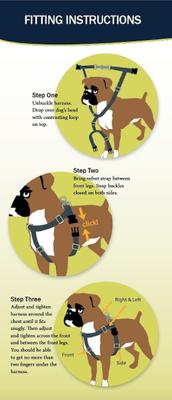 Show full view: 2 Hounds Design Freedom No Pull Nylon Dog Harness & Leash, Teal, Large: 28 to 32-in chest, 1-in wide slide 3 of 5