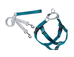 2 Hounds Design Freedom No Pull Nylon Dog Harness & Leash, Teal, Medium: 22 to 28-in chest, 1-in wide
