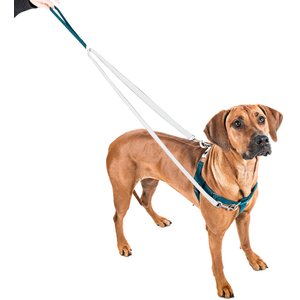 2 Hounds Design Freedom No Pull Nylon Dog Harness & Leash, Teal, Medium: 22 to 28-in chest, 1-in wide
