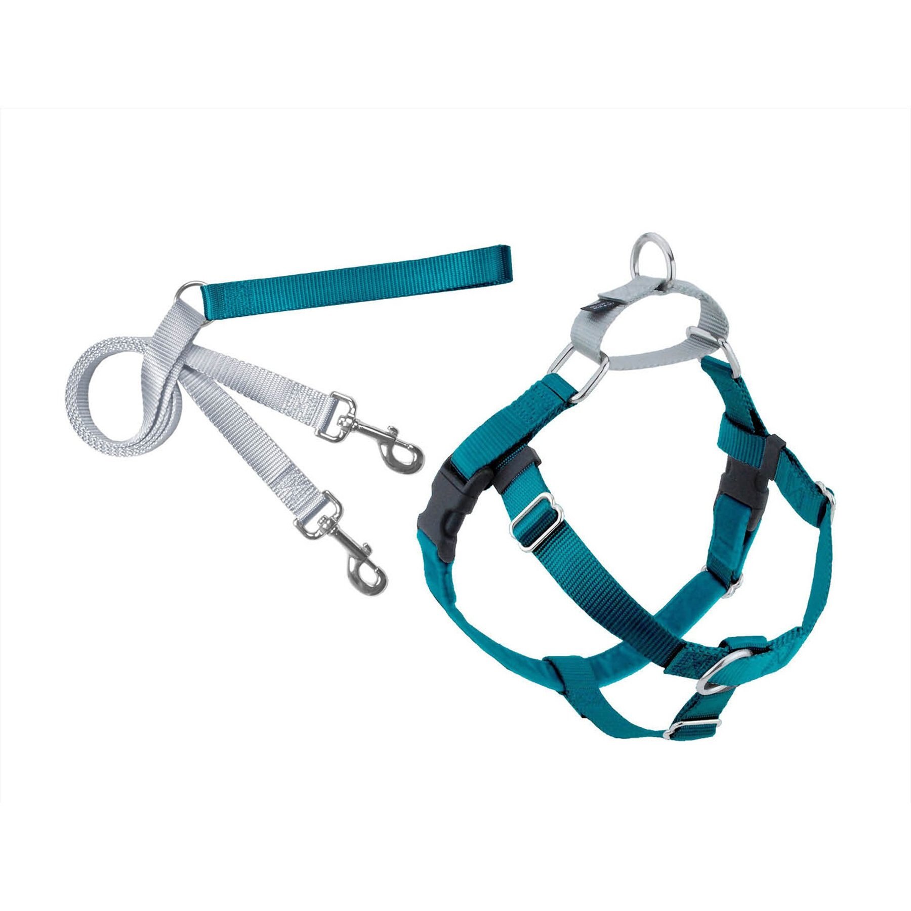 Small 5/8 in Teal Freedom No Pull Dog Harness & Leash, 2 Hounds Design