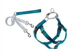 2 Hounds Design Freedom No Pull Nylon Dog Harness & Leash, Teal, X-Large: 30 to 36-in chest, 1-in wide
