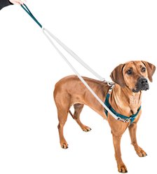 2 Hounds Design Freedom No Pull Nylon Dog Harness & Leash, Teal, X-Large: 30 to 36-in chest, 1-in wide slide 2 of 3