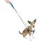 Show in main carousel: 2 Hounds Design Freedom No Pull Nylon Dog Harness & Leash, Teal, X-Small: 15 to 20-in chest, 5/8-in wide slide 2 of 5