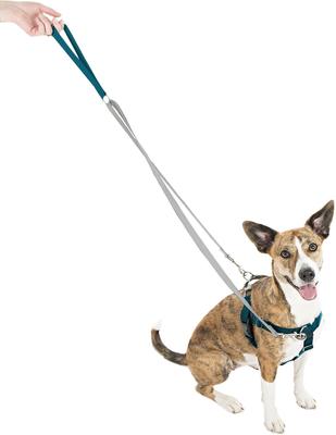 Show full view: 2 Hounds Design Freedom No Pull Nylon Dog Harness & Leash, Teal, X-Small: 15 to 20-in chest, 5/8-in wide slide 2 of 5