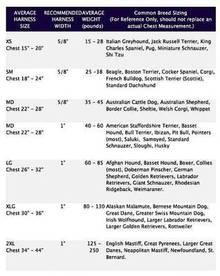 Show full view: 2 Hounds Design Freedom No Pull Nylon Dog Harness & Leash, Teal, X-Small: 15 to 20-in chest, 5/8-in wide slide 3 of 5